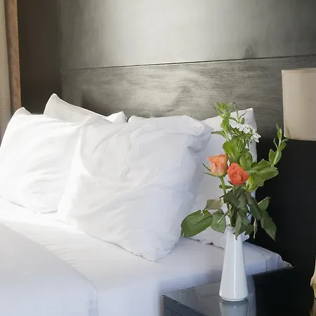Hotel Areos