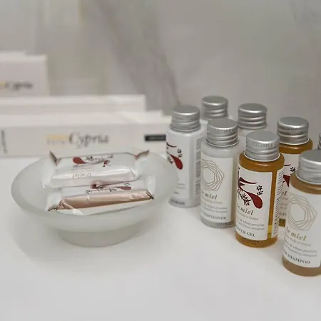 雅典西普瑞亚酒店 4*