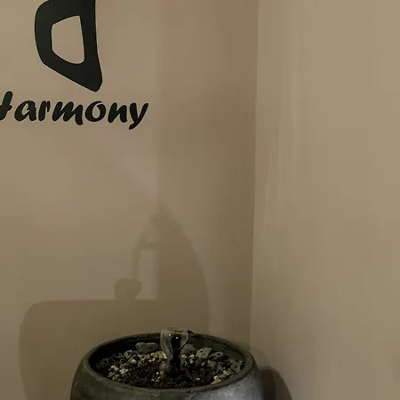 Hotel Lotus Center 4*