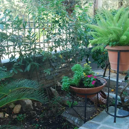 Apartment Affordable Luxury Garden Athens