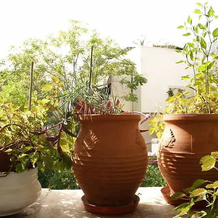 Acropolis House Atena