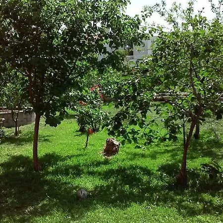 Sunny Garden Appartement