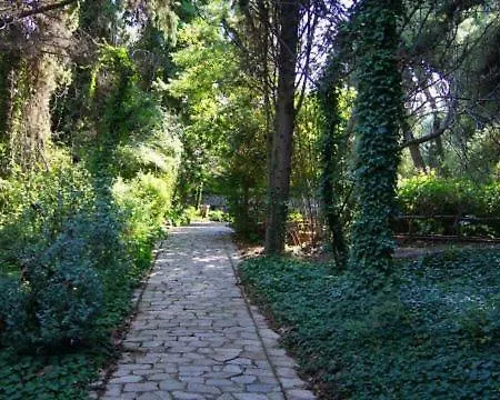 Greek Hospitality 2 Homestay Athens