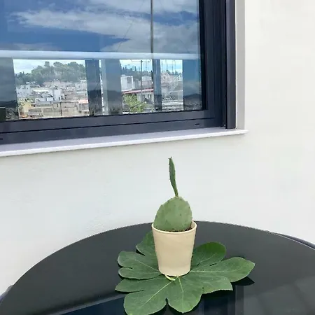 Stylish Penthouse With Acropolis And 360 View Athens
