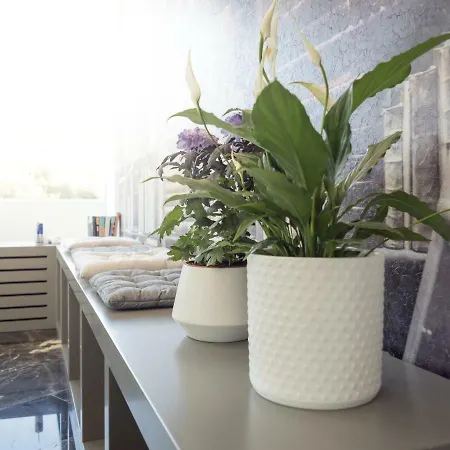 Apartment Luxury Veni Acropolis View Athens