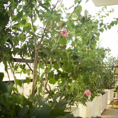 Seaside Apt * Athens