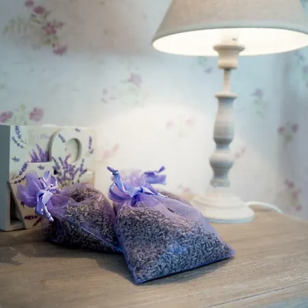 The House Of Lavender