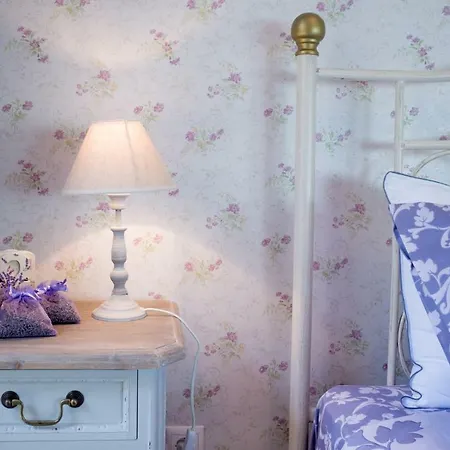 The House Of Lavender Apartment *