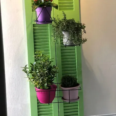 Apartament Oasis