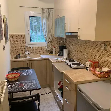 La Vie En Rose Studio,close To Beach, Paleo Faliro Apartment Athens