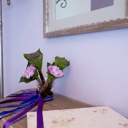 The House Of Lavender Apartment *