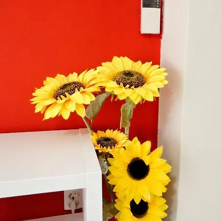 Apartment Santorini Style In Athens, Greece Athens