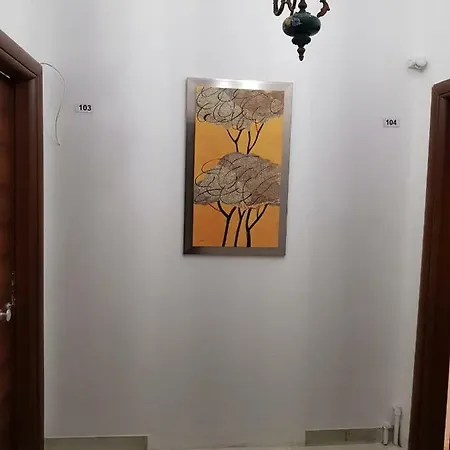 Oasis * Atena