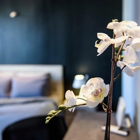 Apartment Acropolis Dream Athens