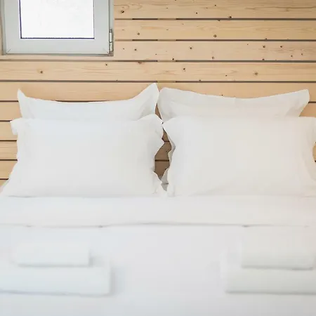 Oasis Apartament