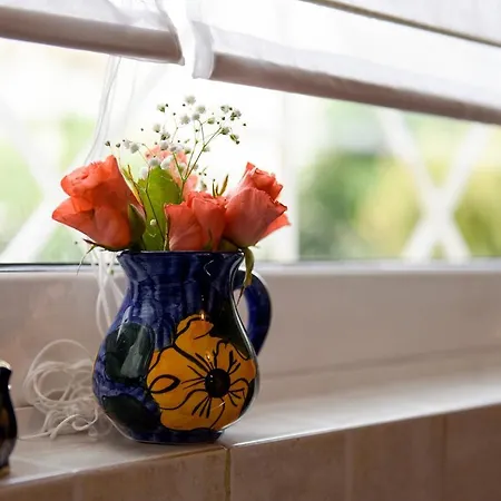Mother's House * Atena