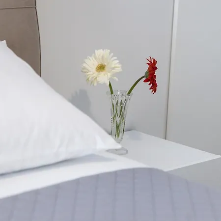 Apartment Brand New In The Heart Of The