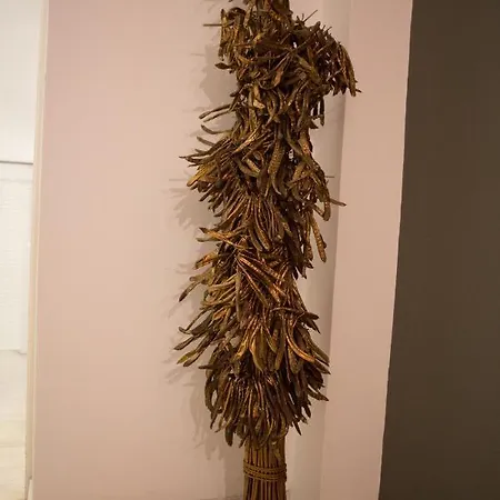 Apartment Acropolitana 2