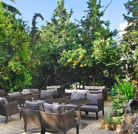 Palmyra Hotel 4*