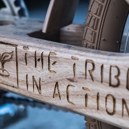 The Tribe Eco Auberge de jeunesse Athènes