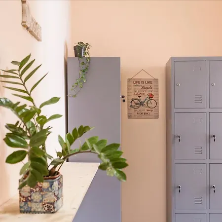 Auberge de jeunesse The Tribe Eco *