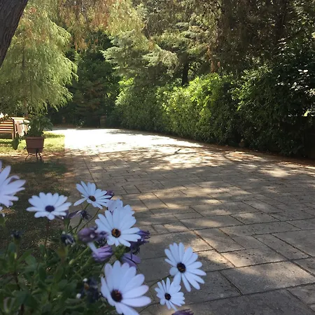 Hotel Anastazia Luxury & Atenas