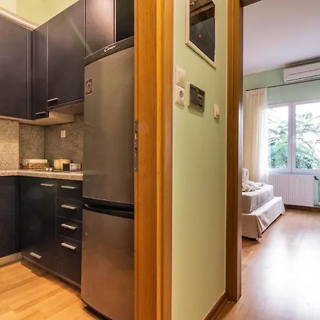 Ecoflat In Syntagma Square! * Athens