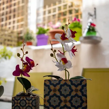 The Zen Apartment Athens