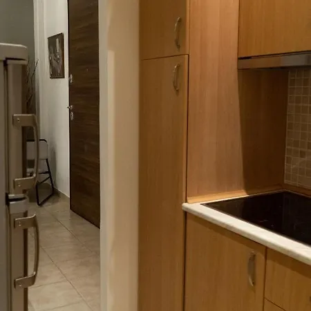 Nikis Artistic Flat/ Syntagma Square