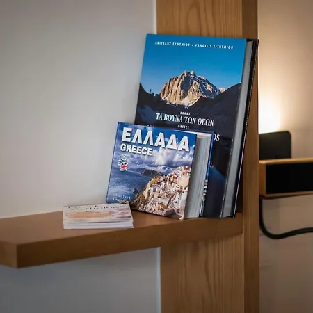 Daire Athensthea Alpha Luxury Penthouse In Omonia *