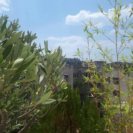 And Comfy With Private Balcony And Rooftop Access - Ct3 Apartment