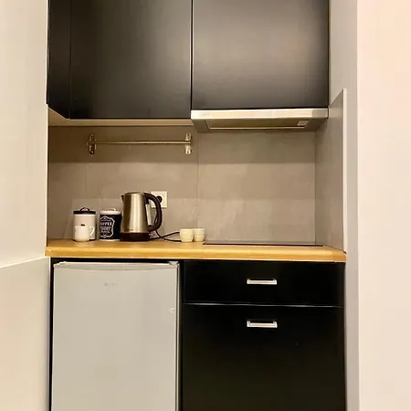 Plaka Downtown 2 Bedroom Basement Apartment *