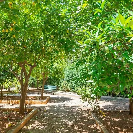 Voula's Secret Garden
