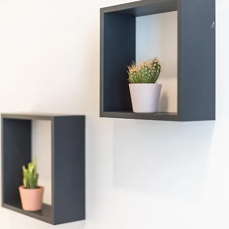 San Apartment *
