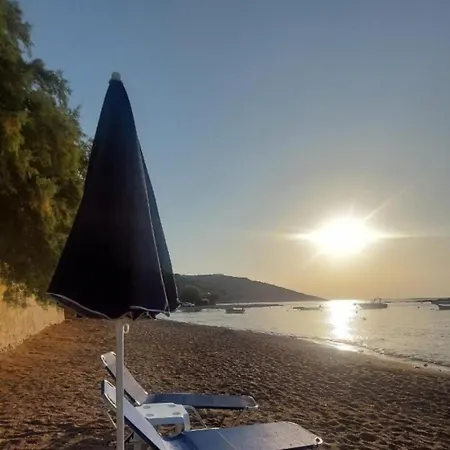 Pallas Seaside 1