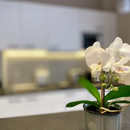 Luxury In Historical Center, Syntagma-plaka Appartamento Atene