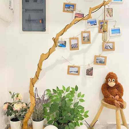 Apartment Walk Into Dream Of Acropolis 6 Athen