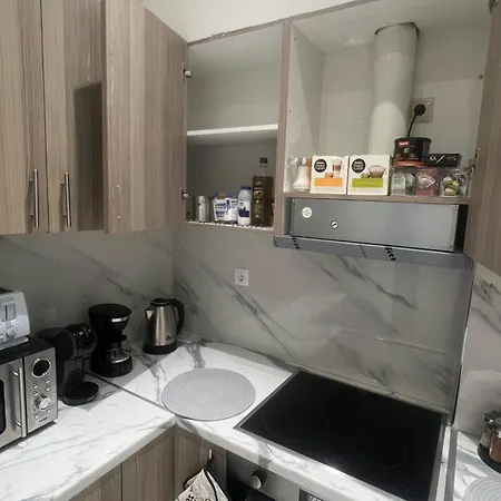 Apartment Four Seasons *
