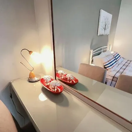 近图书馆宽敞露台spacious Terrace Near Library Apartment *