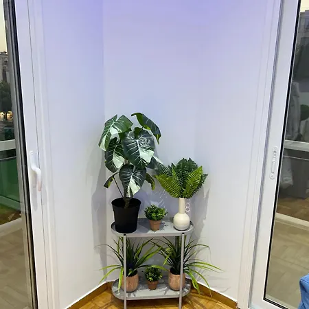 Four Seasons Apartment *