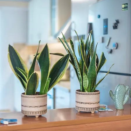 Shoreline Riviera Apartment