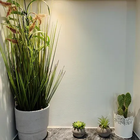 Cozy Pangrati Daire