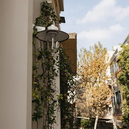 Airy *