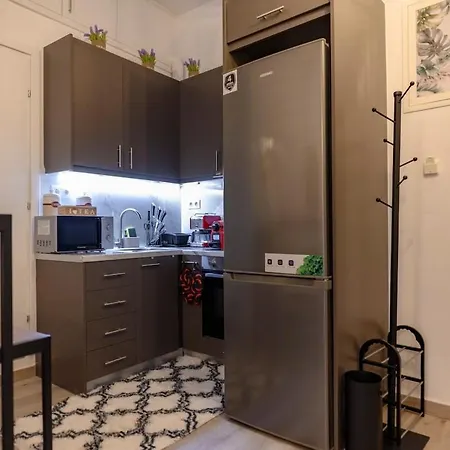 Apartment Panathenaic Stadium 1bed Luxury Athens
