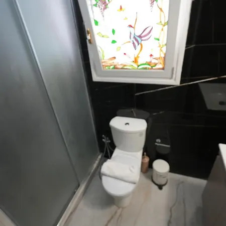 Modern Athenian Penthouse Apartment Athens