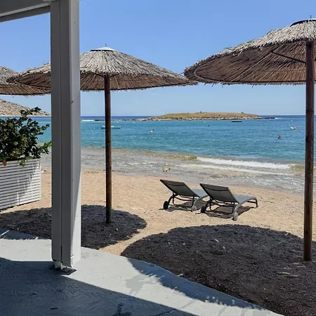 Pallas Seaside 1