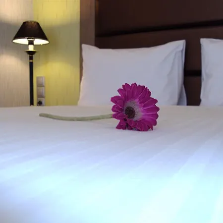 Lotus Hotel 4*