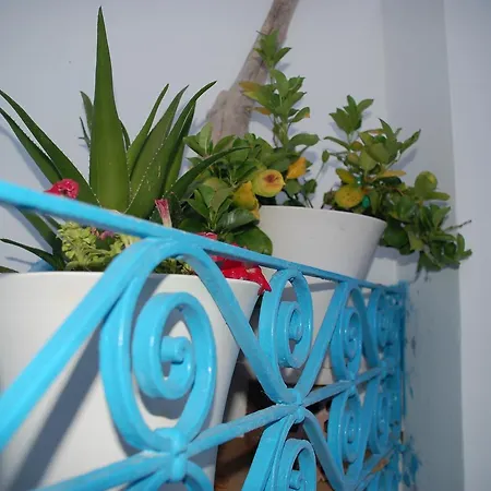 The House Aten