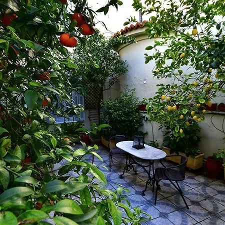 Authentic Elegance At Acropolis