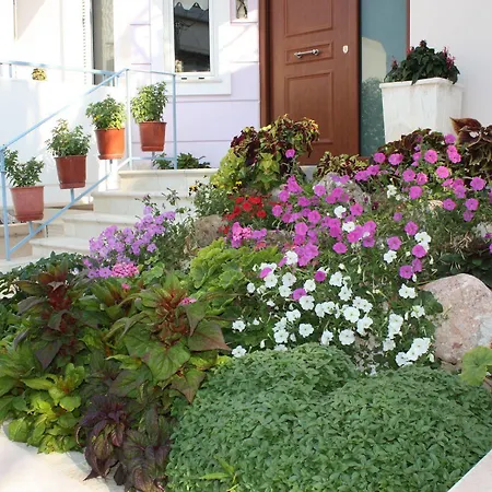Veggie Garden